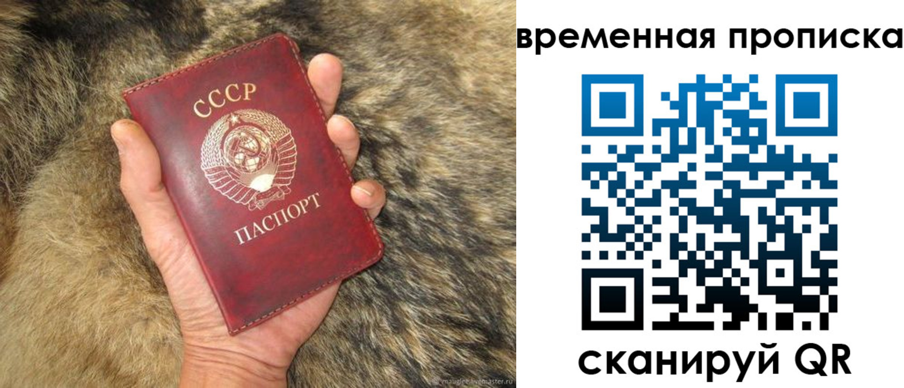 временная регистрация собственник в Реутове
